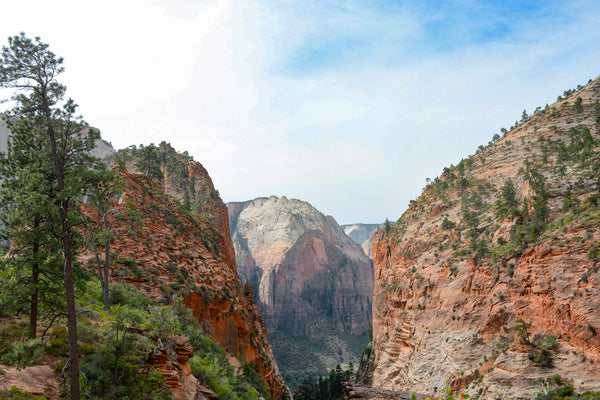 zion | angel's landing