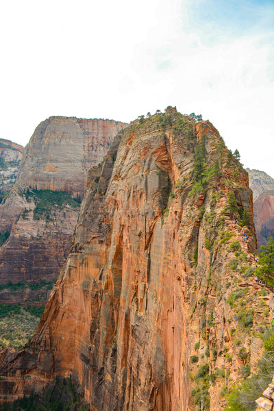 zion | angel's landing