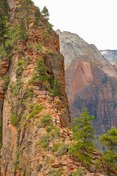 zion | angel's landing