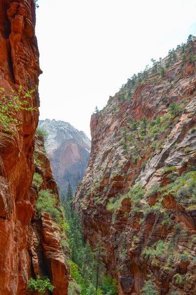 zion | angel's landing