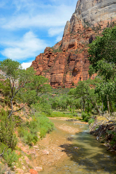 zion | angel's landing