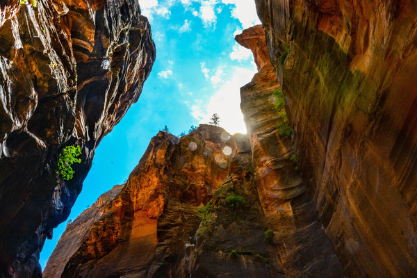 zion | the narrows