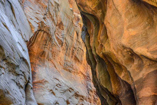 zion | the narrows