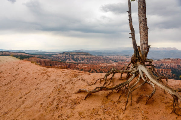 bryce canyon