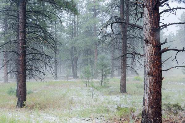 bryce canyon