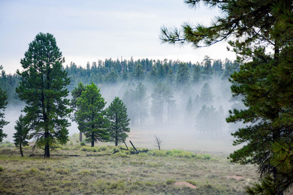 bryce canyon