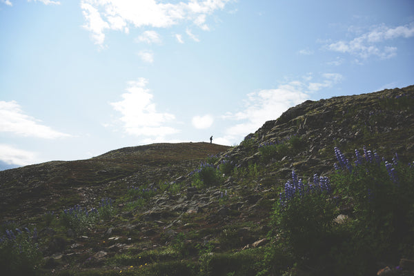 south iceland