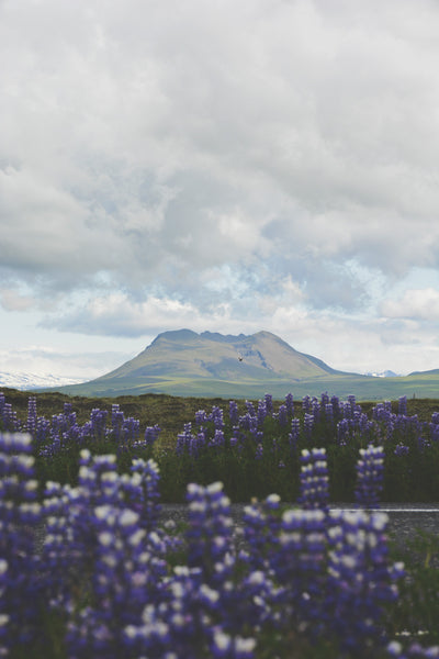 south iceland