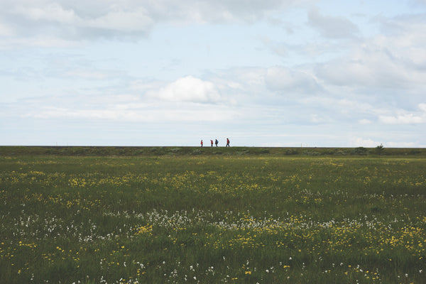 seljalandfoss