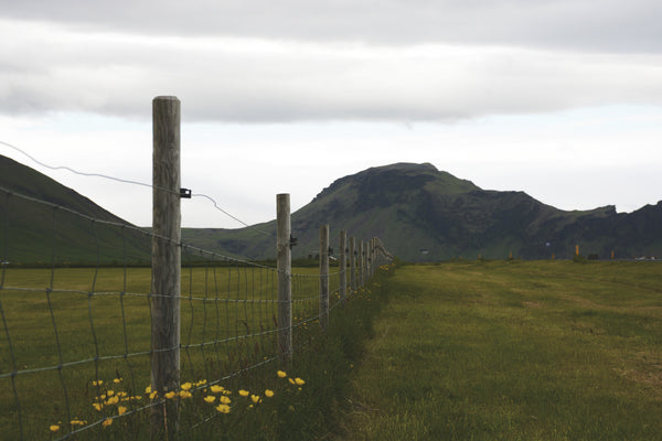 south iceland