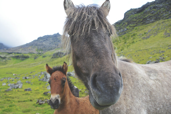 south iceland