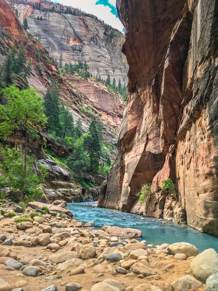 zion | the narrows